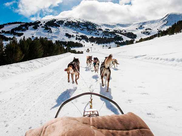 Paseo en trineo de perros por Grandvalira, Escaldes-Engordany